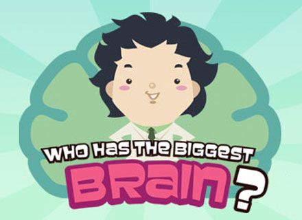 Game Brain Facebook